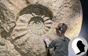 Adam2, Einsendung Kasia